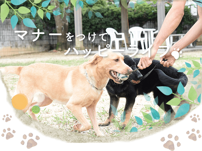 滋賀山本家庭犬 警察犬訓練所 滋賀県湖南市 災害救助犬の育成 ドッグトレーニング 犬のしつけの出張訓練 Just Another Wordpress Site