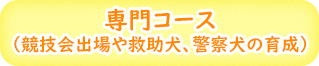 競技会出場 救助犬 警察犬の育成